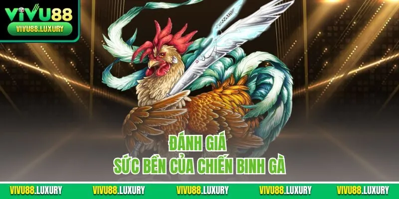 Đánh giá sức bền của chiến binh gà