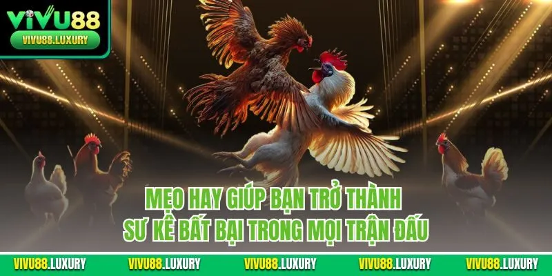 Mẹo hay giúp bạn trở thành sư kê bất bại trong mọi trận đấu